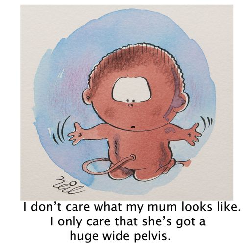 'I don't care what my mum looks like. I only care she's got a huge wide pelvis.'