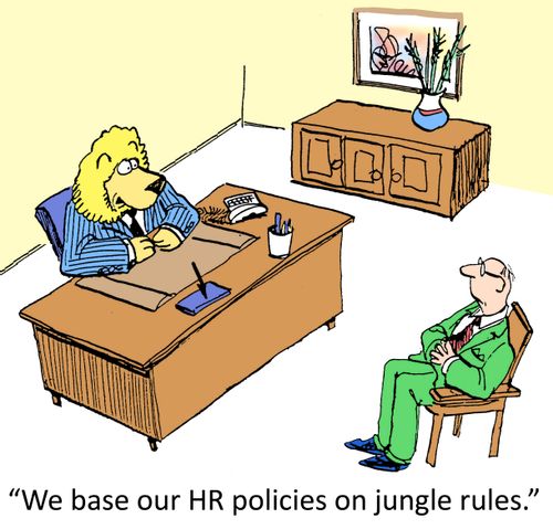 'We base our HR policies on jungle rules.'