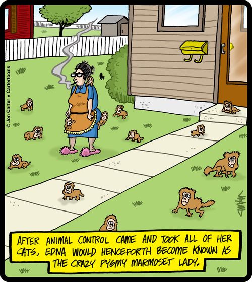 After animal control came and took all of her cats, Edna would henceforth become known as the crazy pygmy marmoset lady.