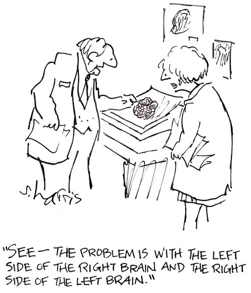 'See - the problem is with the left side of the right brain and the right side of the left brain.'