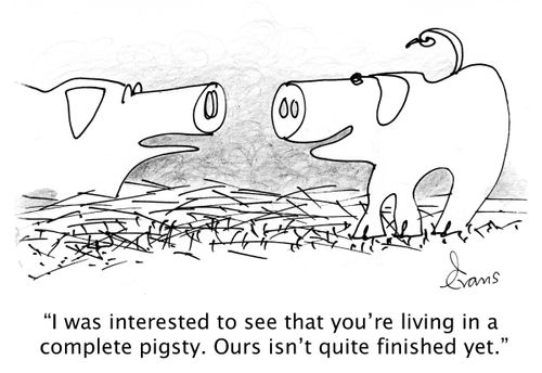 'I was interested to see that you're living in a complete pigsty. Ours isn't quite finished yet.'