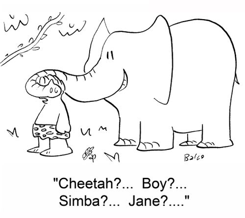 'Cheetah?... Boy?...Simba?... Jane?....'