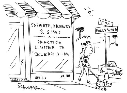 Sopwerth, Drewry and Sims - Practice Limited to 'celebrity law'.