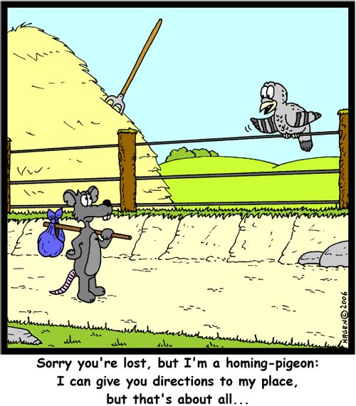 'Sorry you're lost, but I'm a homing-pigeon: I can give you directions to my place, but that's about all...'