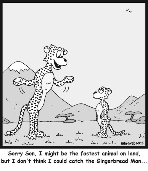 'Sorry Son, I might be the fastest animal on land, but I don't think I could catch the Gingerbread Man...'