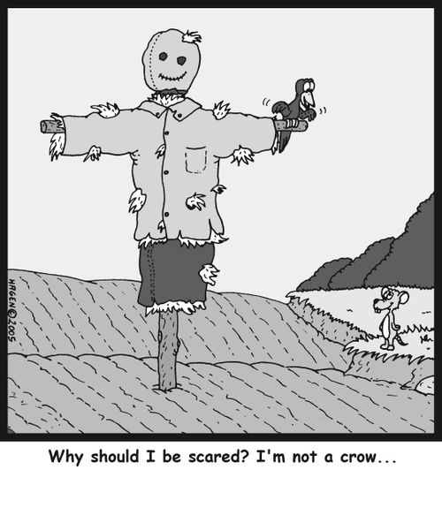 'Why should I be scared? I'm not a crow...'