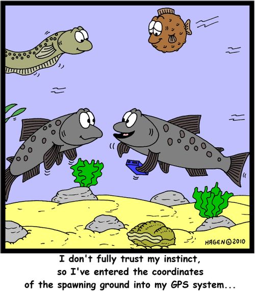'I don't fully trust my instinct, so I've entered the coordinates of the spawning ground into my GPS system,,,'