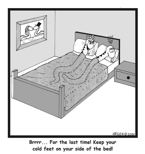 Brrr...for the last time! Keep your cold feet on your side of the bed!