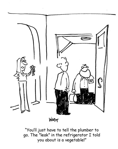 You'll just have to tell the plumber to go. The 'leak' in the refrigerator I told you about is a vegetable!