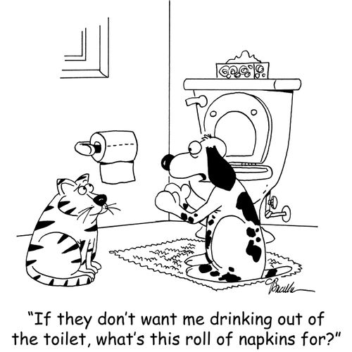 'If they don't want me drinking out of the toilet, what's this roll of napkins for?'