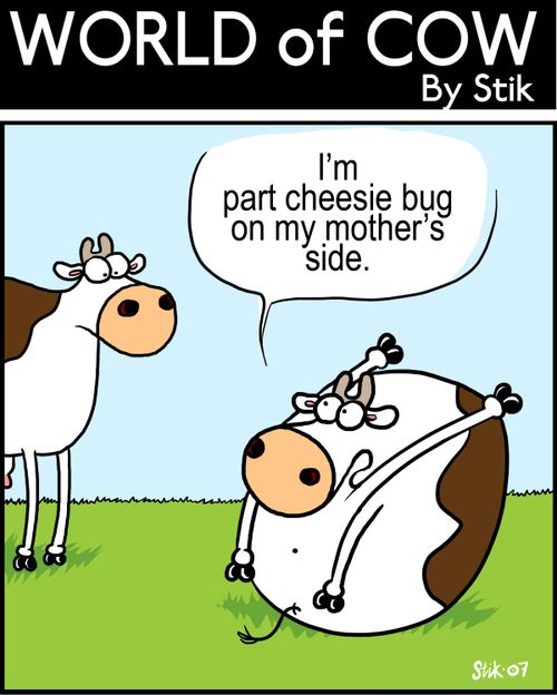 I'm part cheesie bug on my mother's side.