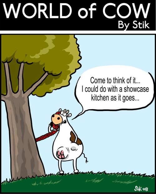 Come to think of it...I could do with a showcase kitchen as it goes...