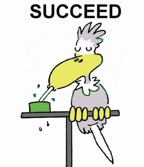 Succeed.