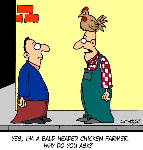 'Yes, I'm a bald headed chicken farmer. Why do you ask?'