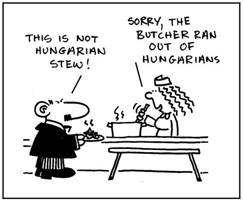 'This is not Hungarian stew. Sorry, the butcher ran out of Hungarians.'