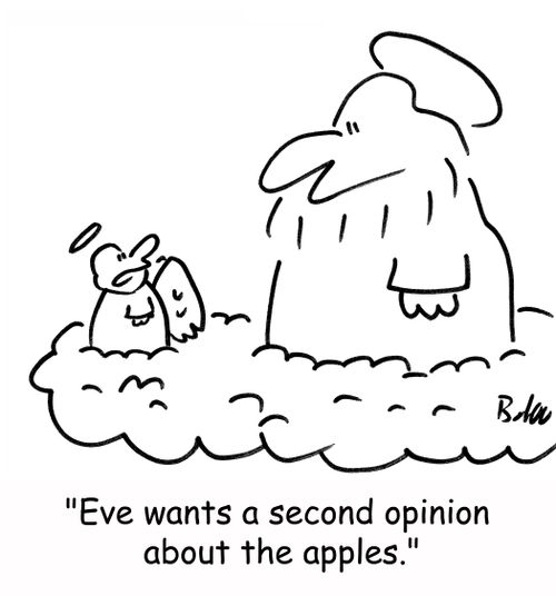 'Eve wants a second opinion about the apples.'