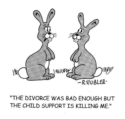 'The divorce was bad enough but the child support is killing me.'