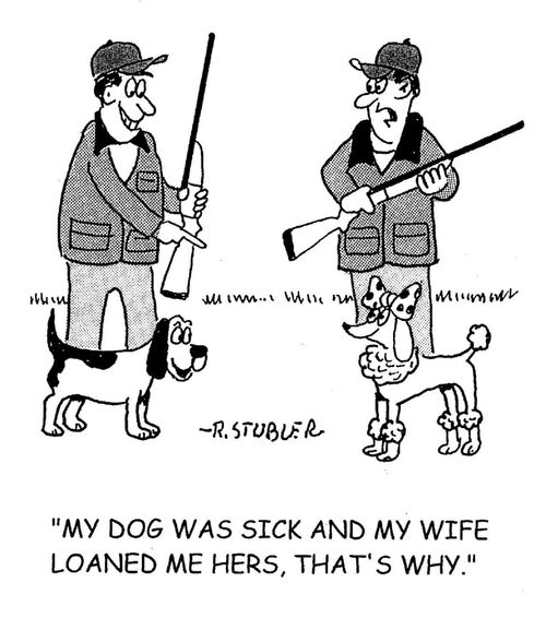 'My dog was sick and my wife loaned me hers, that's why.'