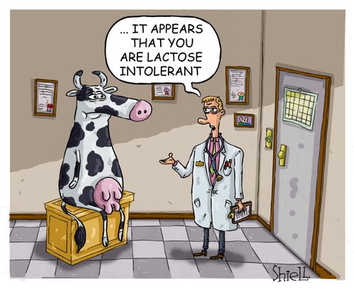 Lactose Intolerant 