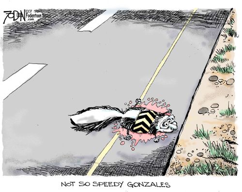 Not So Speedy Gonzales.