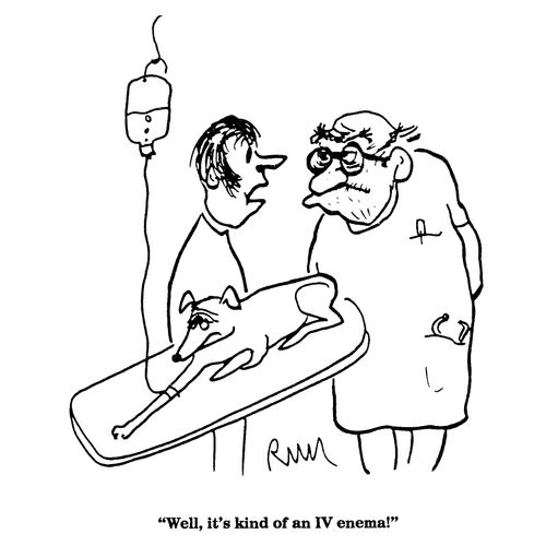 'Well, it's kind of an IV enema!'