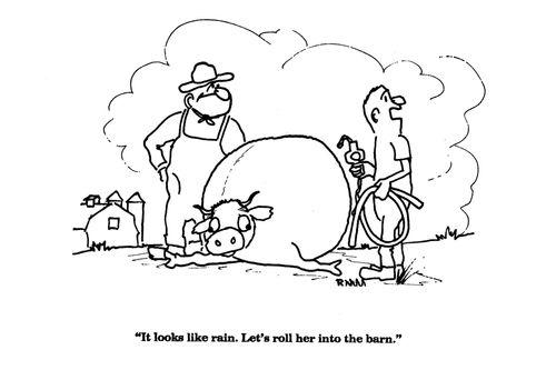 'It looks like rain. Let's roll her into the barn.'