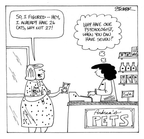 '...I already have 26 cats, why not 27...'