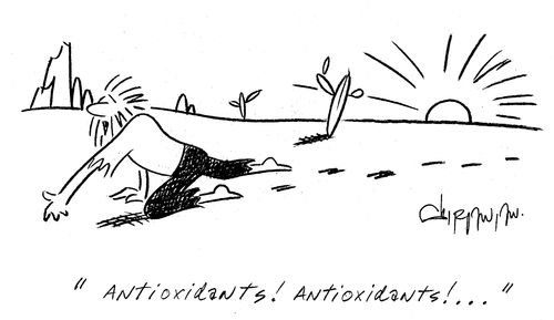 'Antioxidants! Antioxidants!...'