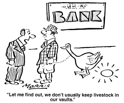"Let me find out, we don't usually keep livestock in our vaults."