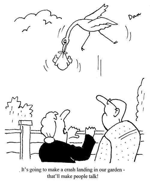 "It's going to make a crash landing in our garden - that'll make people talk!"