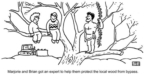 'Marjorie and Brian got an expert to help them protect the local wood...'