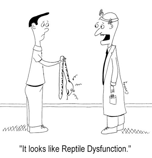 'It looks like reptile dysfunction'