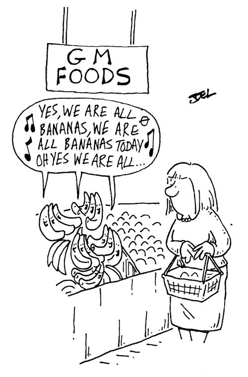 GM Foods - Bananas singing, "Oh yes we are all bananas......"