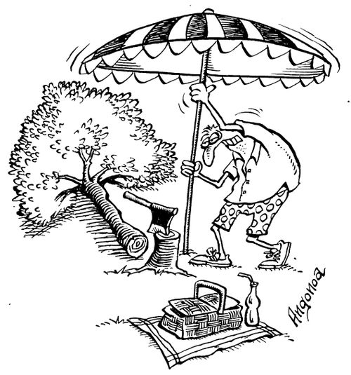 Ecological picnic