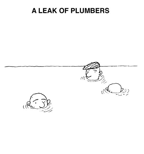A leak of plumbers