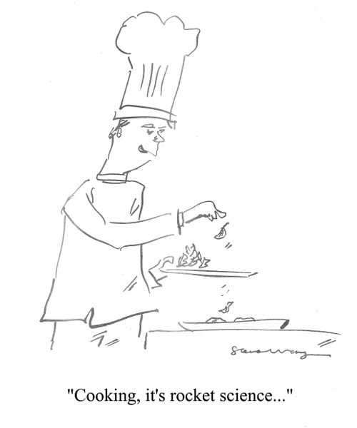 'Cooking, it's rocket science...'