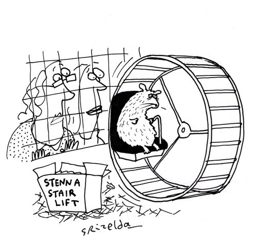 Stenna stair lift on hamsters wheel.