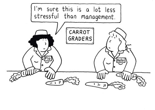 'I'm sure this is a lot less stressful than management.'