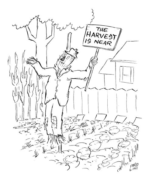 Scarecrow with sign - 'The harvest is near'.