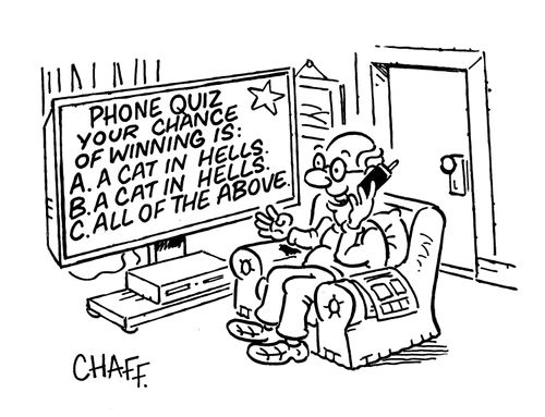 Phone Quiz - Your Chance of Winning Is: A A Cat in Hells, B A Cat in Hells, C All of the Above.