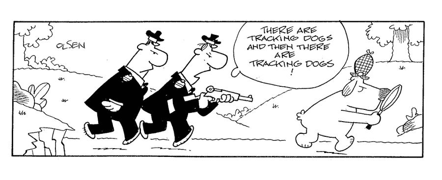 There are tracking dogs and then there are tracking dogs!