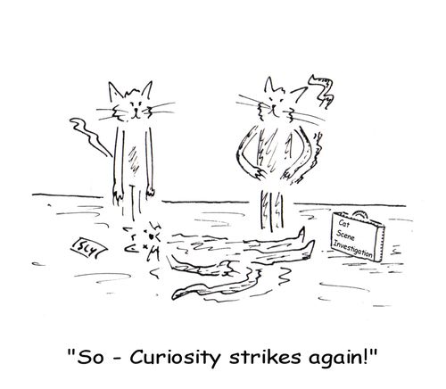 'So - curiosity strikes again!'