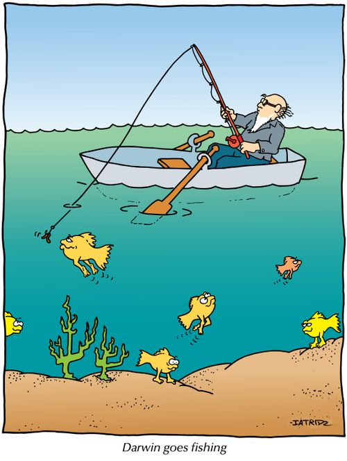 Darwin goes fishing