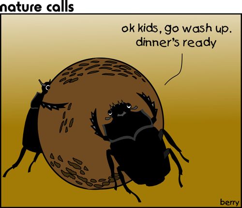 "Okay kids, go wash up. Dinner is ready."