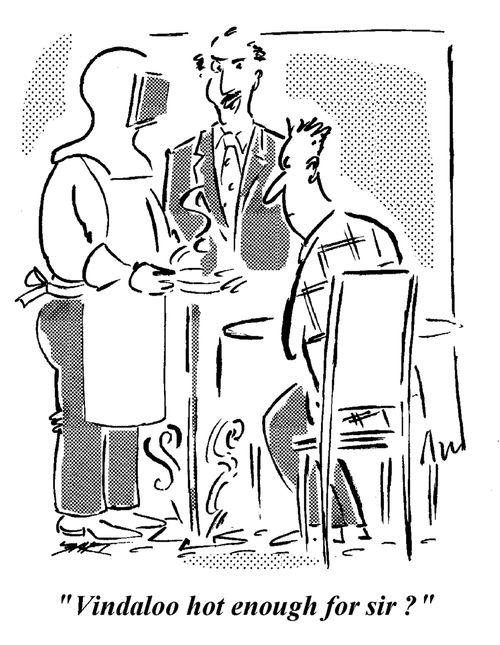"Vindaloo hot enough for sir?"