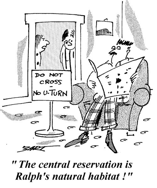 "The central reservation is Ralph's natural habitat!"