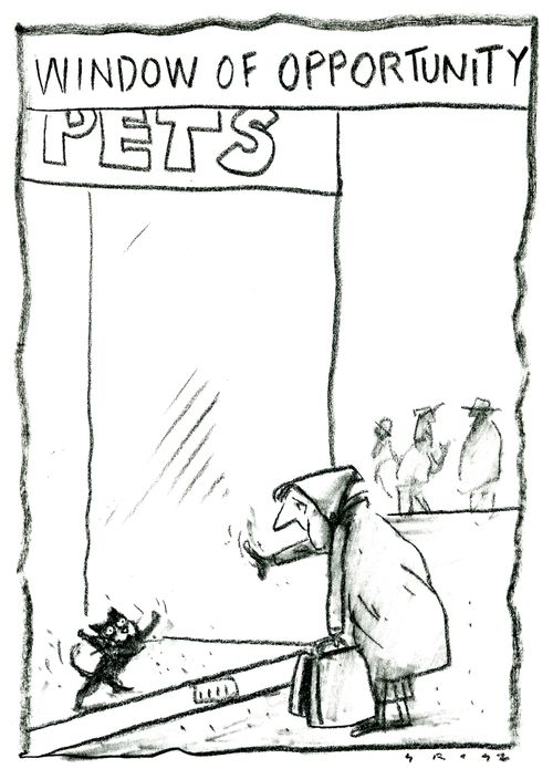 Window of Opportunity
