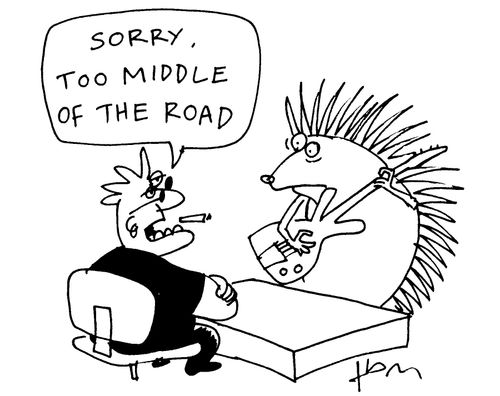 'Sorry, too middle of the road.'