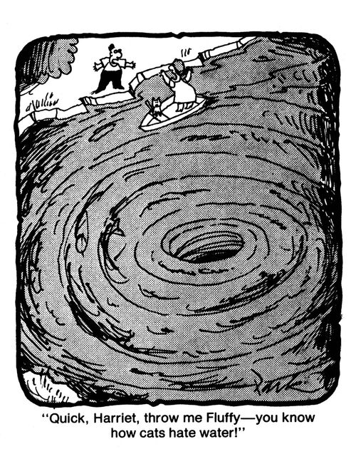 'Quick, Harriet, throw me Fluffy, you know how cats hate water.'