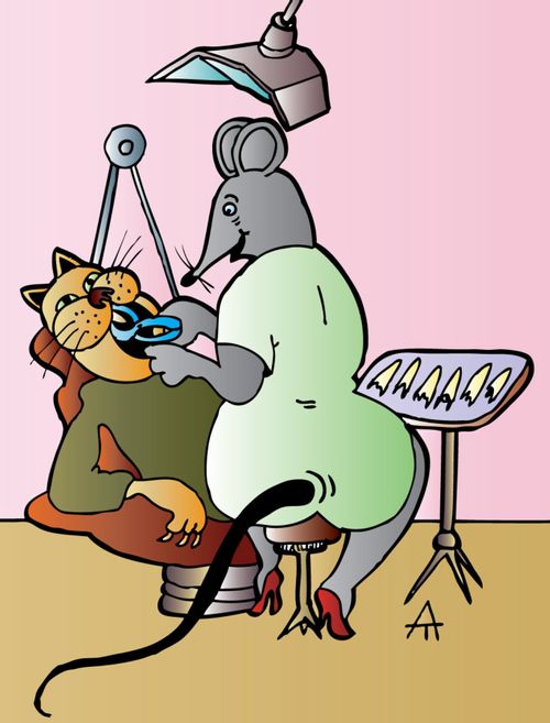 Mouse Dentist Removes Cat's Teeth.
